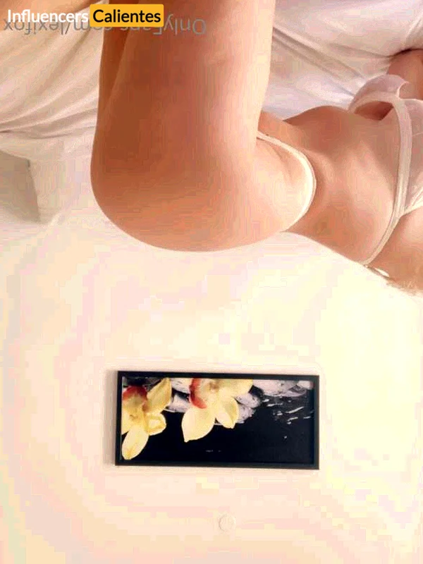 Imagen de Lexifox