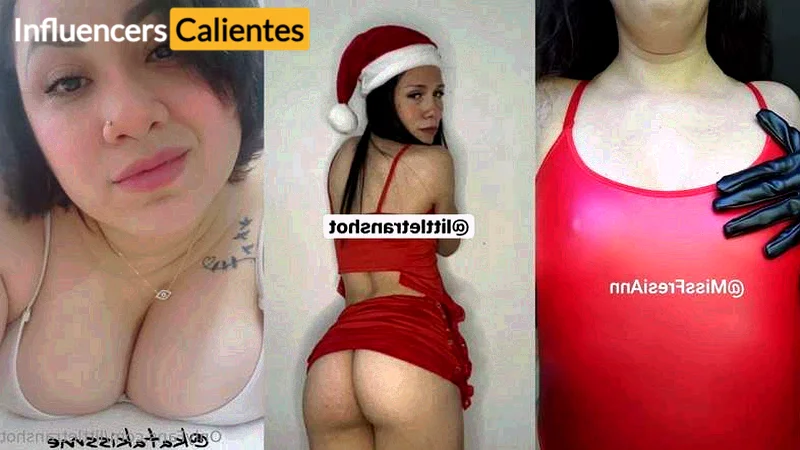 Imagen de Littletranshot