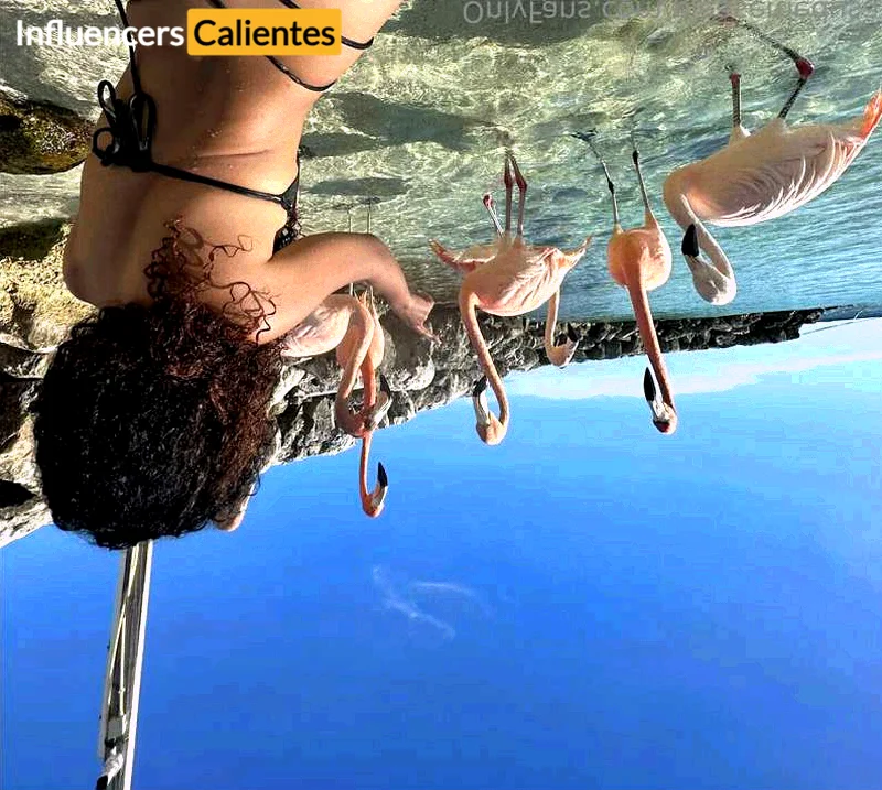 Imagen de Pleasemedusa
