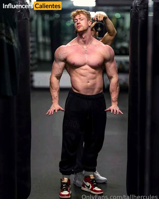 Imagen de Tallhercules
